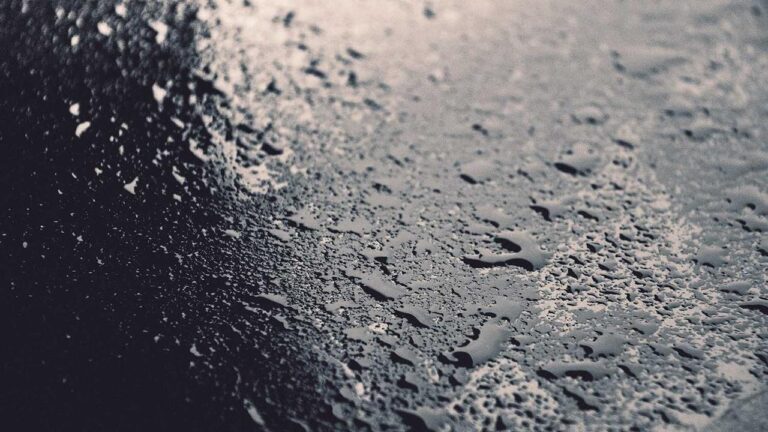 How To Check Your 11Xplay New Id Number Status?