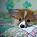 Reddybook Review: How This Innovative Platform Transforms Real‑Estate Lead Generation