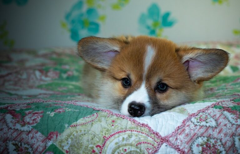 Reddybook Review: How This Innovative Platform Transforms Real‑Estate Lead Generation